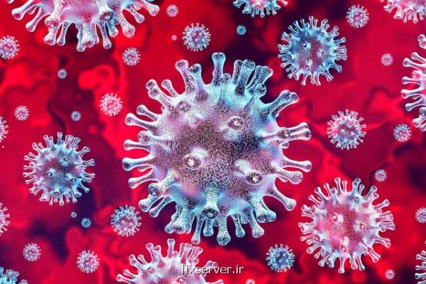 سلول های تی بهبود یافتگان كووید-۱۹ می توانند از افراد صدمه پذیر محافظت كنند