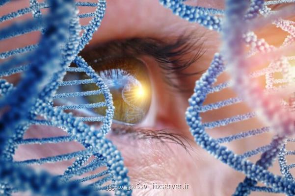 ژن درمانی یك چشم و بینایی هر دو چشم