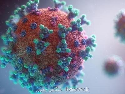درمان كووید-۱۹ با نانوذراتی كه به ژنوم كروناویروس حمله می كنند