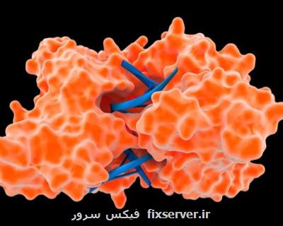 آنزیم هایی كه از پوست در مقابل میكروب ها و ویروس ها محافظت می كنند