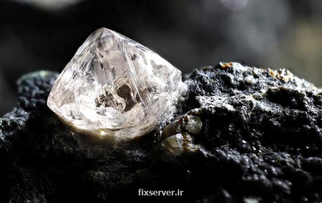 ۲ نوع الماس نادر از بقایای موجودات زنده تشکیل می شوند!