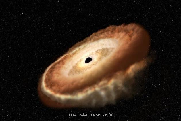 کشف سیاهچاله گرسنه ای که درحال تبدیل کردن یک ستاره به دونات است