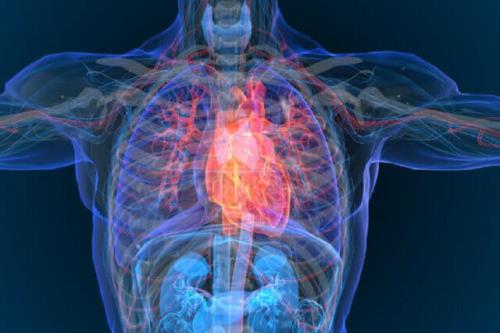 تشخیص زودهنگام بیماری قلبی با نوع جدیدی از تصویربرداری