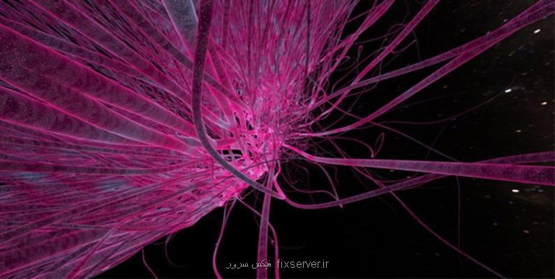 حل مشکل مقاومت به آنتی بوتیک با استفاده از معده وزغ!