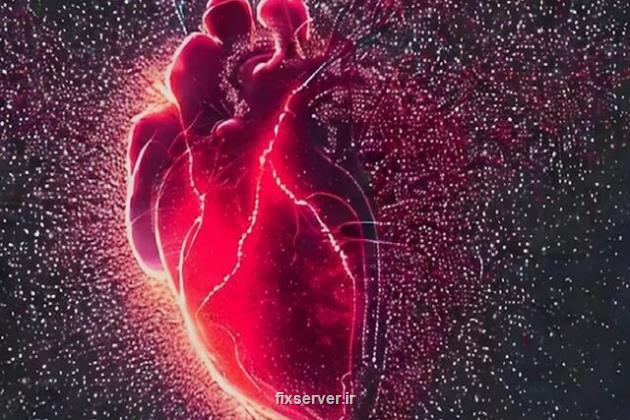 تشخیص بروز سکته قلبی از نمونه خون تا 10 روز پس از ایجاد لطمه