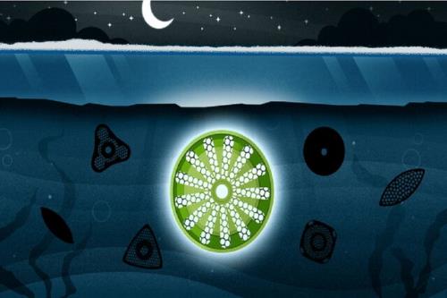 چگونه زندگی در تاریک ترین شرایط ادامه می یابد؟