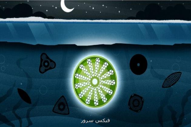 چگونه زندگی در تاریک ترین شرایط ادامه می یابد؟