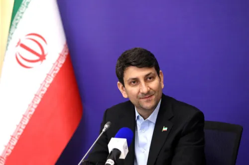 دولت وارد انحصار نمی شود