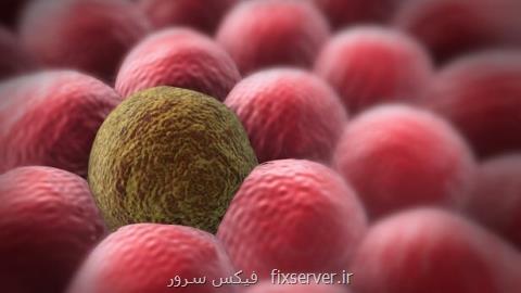 روشی كه درمان بیماری سرطان را گرفتار تحول می كند