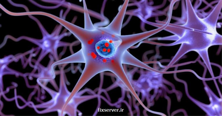 بازسازی اعصاب صدمه دیده با روشی نوین
