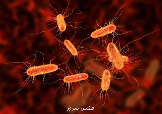 شناسایی نانوذراتی كه قابلیت كشتن باكتری های مضر را دارند