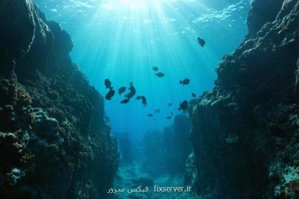 نجات اكوسیستم های دریایی با مدیریت حفاری در بستر دریاها
