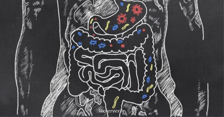 كمك پیوند مدفوع به درمان بیماران مبتلا به سرطان